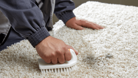 Professional Rug Cleaning Harkaway